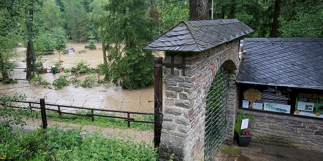 Two lions, two tigers, a jaguar and a bear broke out of their cages after heavy rain damaged their enclosure.