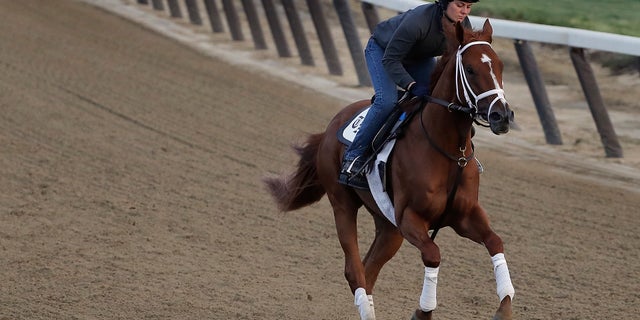 Vino Rosso was born at the same farm as Justify, only a few days apart.