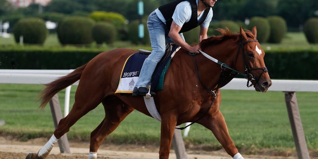 Hofburg is the son of a horse that has sired three of the last four Belmont Stakes winners.