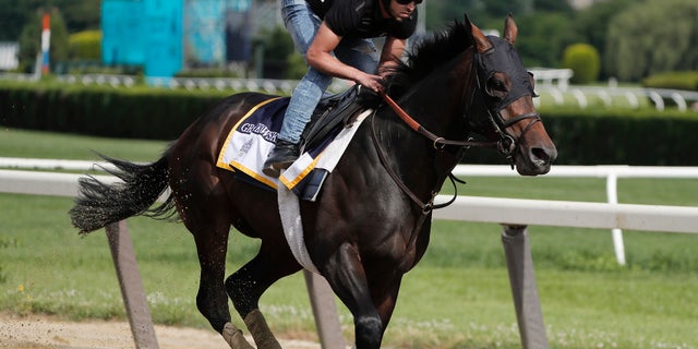 Patriots tight end Rob Gronkowski has faith in the horse that shares his name.