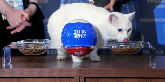 Achilles has apparently picked Russia to win its first match against Saudi Arabia.