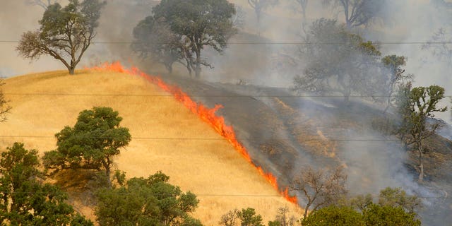 Fire burns the hillsides as the County Fire continues along Highway 129 near Lake Berryessa in Yolo County, California, Tuesday, July 3, 2018.
