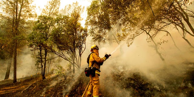 Firefighter Scott Brown sprays water on a backfire while battling the Carr Fire in Redding.