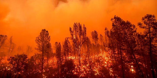 The Carr Fire burns along Highway 299.
