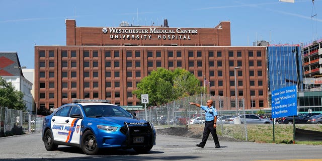 A Westchester Medical Center security guard directs traffic as a Westchester County police car pulls out of the drive to the main entrance of the hospital, Wednesday, Aug. 8, 2018, in Valhalla, N.Y.