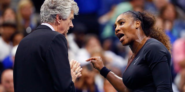 Serena Williams pleaded her case on the court.
