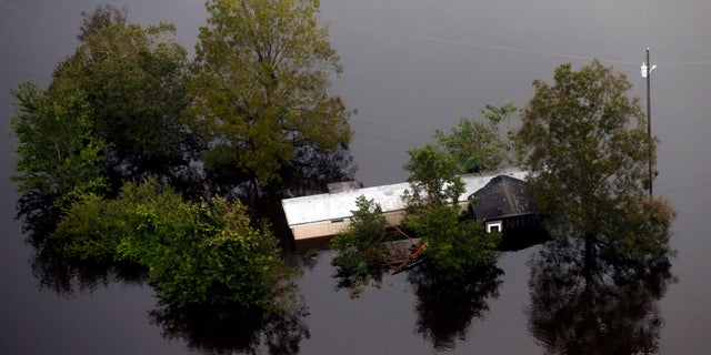 As residents return to their homes after flooding, the CDC has warned of the effects of mold.