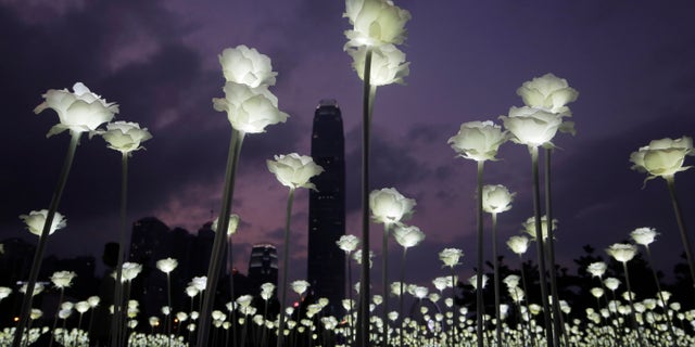 Hong Kong's Light Rose Garden.