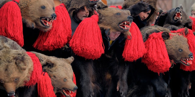 People wearing bear fur costumes dance during the annual bear ritual gathering in Comanesti, Romania.