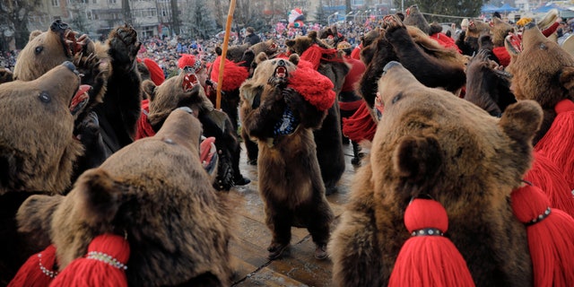 The annual bear ritual gathering in Comanesti.