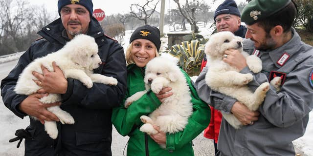 Rescuers holding all three puppies.