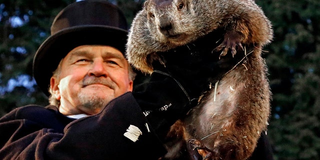 Groundhog Club handler John Griffiths holds Punxsutawney Phil, the weather prognosticating groundhog, during the 131st celebration of Groundhog Day on Gobbler's Knob in Punxsutawney, Pa. Thursday, Feb. 2, 2017. (Associated Press)
