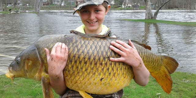 This April 22, 2017 photo released by John Stokes shows Stokes' son Chase, then 10, holding a giant carp, weighing 33.25 pounds, in Ferrisburgh, Vt. The Vermont Fish & Wildlife Department made the record official a few weeks ago, stating that the fish was a quarter-pound bigger than the previous record holder. (John Stokes via AP)