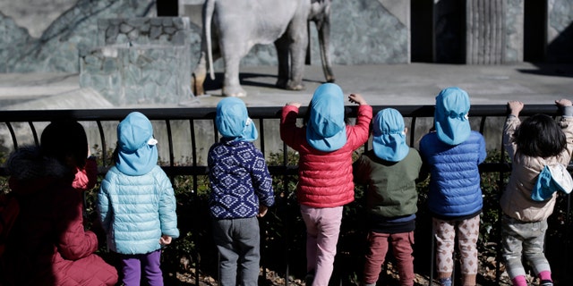 In this Jan. 27, 2016 photo, children look at Hanako the elephant at Inokashira Park Zoo on the outskirts of Tokyo. An online petition drive wants the 69-year-old Hanako, or "flower child," to be moved to a Thai sanctuary, to live in a natural, grassy habitat where elephants romp in herds, not alone in her concrete pen, with a wading pool she hardly uses and a nearby side building to spend the night. Its attracted tens of thousands of signatures already, with the aim of submitting them to the suburban Tokyo zoo and the Japanese government. (AP Photo/Eugene Hoshiko)