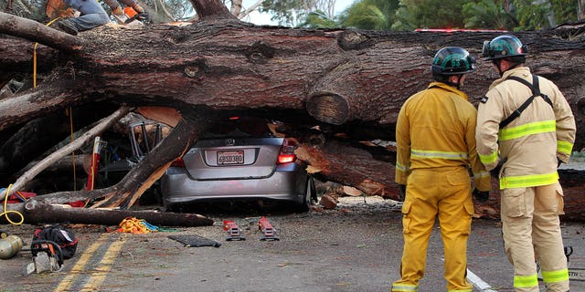 Deadly Winter Storm Lashes California With Powerful Wind Gusts | Fox News