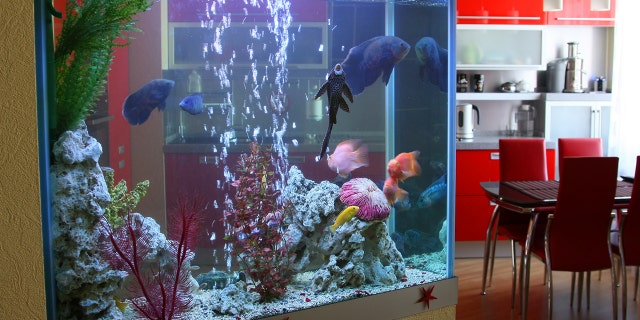 A Christmas day meal quickly turned soggy when a restaurant's giant aquarium cracked and started spilling water onto the floor.