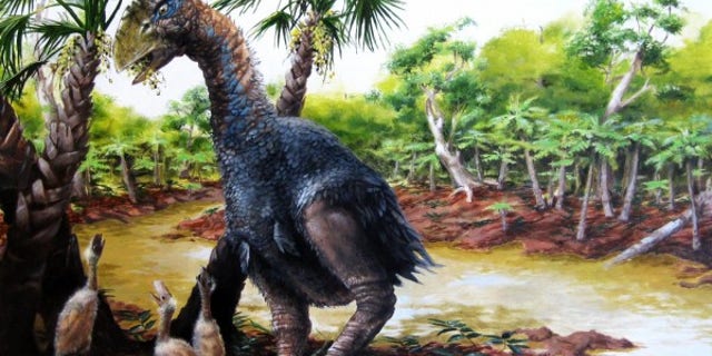 A new study involving CU-Boulder and the Chinese Academy of Sciences has confirmed that a flightless bird weighing several hundred pounds roamed Ellesmere Island in the high Arctic about 50 million years ago. (Illustration by Marlin Peterson)