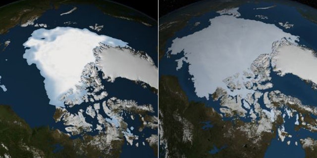 NASA satelite images show the changing Artic sea ice coverage. from August 2012 (left) to August 2013 (right) -- a growth of about a million square miles.