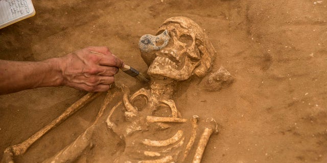 One of the skeletons found in the possible Philistine cemetery in Ashkelon, Israel, had a juglet stuck to its skull.