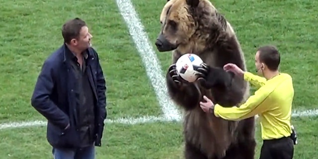 A bear performs before a Russian Second League soccer match.