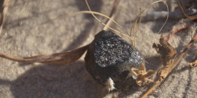 The meteroite fragment found in Botswana (Peter Jenniskens)