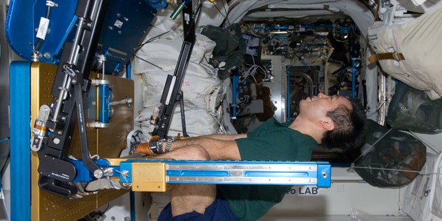 Japan Aerospace Exploration Agency astronaut Koichi Wakata exercises using the Advanced Resistive Exercise Device (ARED) in the International Space Station.