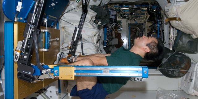 Japan Aerospace Exploration Agency astronaut Koichi Wakata exercises using the Advanced Resistive Exercise Device (ARED) in the International Space Station.