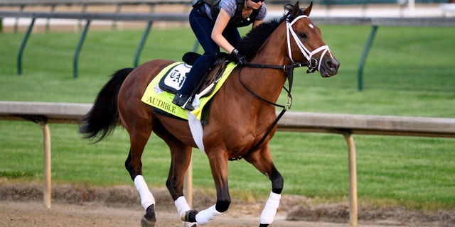 Exercise rider Amelia Green works out Kentucky Derby entry Audible at Churchill Downs.