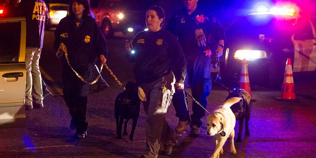 Police dogs and their handlers deploy at the scene of an explosion in southwest Austin, Texas, Sunday, March 18, 2018. Injuries were reported in the explosion, this one coming after three package bombs detonated earlier in the month in other areas of the city, killing two people and injuring two others. (Nick Wagner/Austin American-Statesman via AP)