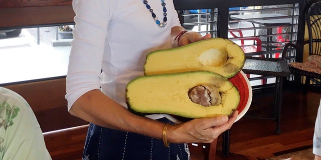 giant stuffed avocado