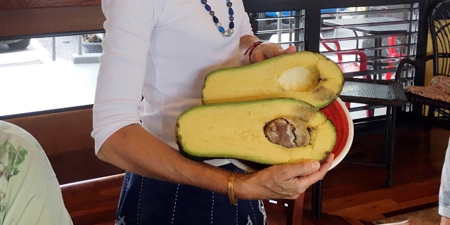 Pamela Wang's giant discovery has now been accepted into the Guinness Book of World Records as heaviest avocado -- most avocados weight 6 ounces.