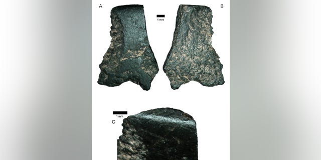The world's oldest axe fragment, seen here under a microscope, is the size of a thumbnail. (Australian Archaeology)