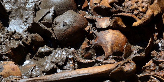 This July 16, 2012 image released by Mexico's National Institute of Anthropology and History (INAH) on Monday Aug. 6, 2012, shows a human burial that was found next to what may have been a "sacred tree" at one edge of the plaza in Mexico City's Templo Mayor, the most sacred site of the Aztec capital.
