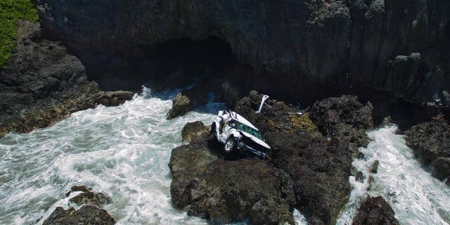 Alexandria survived the crash but her twin sister died from "major head trauma."