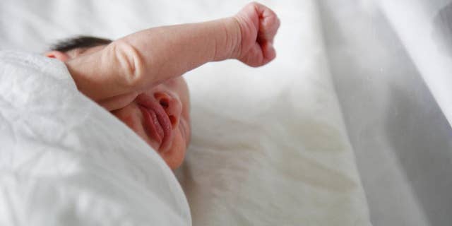 FILE - In this July 26, 2016 file photo, a newborn baby with microcephaly rests at a maternity ward of the University Hospital in Tegucigalpa, Honduras. Researchers say the severe birth defect caused by Zika infection may not be apparent at birth but develop months afterward, further confirmation that the virus can cause unseen damage to developing babies. (AP Photo/Fernando Antonio, File)