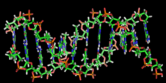 An illustration of the double-helix structure of a strand of DNA.