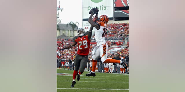 Cincinnati Bengals wide receiver A.J. Green (18) pulls in a 13-yard touchdown reception in front of Tampa Bay Buccaneers cornerback Leonard Johnson (29) during the third quarter of an NFL football game Sunday, Nov. 30, 2014, in Tampa, Fla. (AP Photo/Brian Blanco)