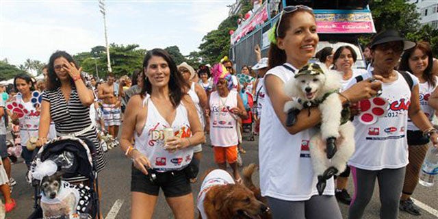 Feb. 12, 2012: Pople take their dogs to the "Blocao" dog carnival parade in Rio de Janeiro, Brazil.