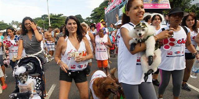 Feb. 12, 2012: Pople take their dogs to the "Blocao" dog carnival parade in Rio de Janeiro, Brazil.