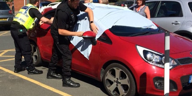 These dramatic pictures show the moment police officers broke into a âblazing hotâ car to free two sweltering dogs. See Ross Parry story RPYHOTDOG; The two officers at the scene said they could feel the heat coming from the car during their rescue operation â and said even they were âstruggling to breatheâ because of the scorching weather. The dogs had been left in the vehicle in York city centre for a staggering 30 minutes yesterday (Mon). The cops were left with no option but to smash the window of the car to get to the dogs. They were then taken in by the local RSPCA where they were given cool baths. The RSPCA has indicated their intention to prosecute the owners. In a tweet, North Yorkshire Police said: "There is no excuse for this, I am utterly appalled.