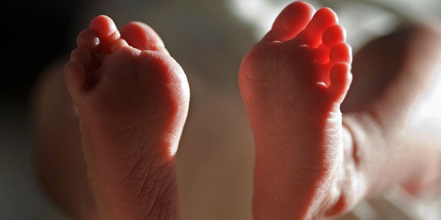 KNUTSFORD, UNITED KINGDOM - APRIL 03:  (FILE)  In this file photograph taken on March 20, 2007, a two-week-old boy finds his feet in his new world. Health Secretary Patricia Hewitt announced, April 3, 2007 that for the first time, mothers-to-be will have a guarantee that the NHS will provide them with a full range of birthing choices - including home births - and a midwife they know and trust to care for them.  (Photo by Christopher Furlong/Getty Images)