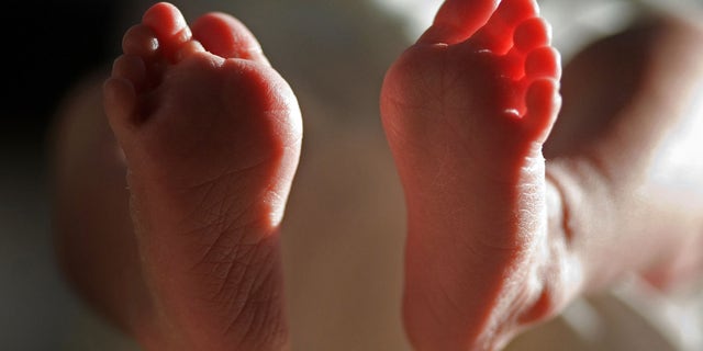 KNUTSFORD, UNITED KINGDOM - APRIL 03: (FILE) In this file photograph taken on March 20, 2007, a two-week-old boy finds his feet in his new world. Health Secretary Patricia Hewitt announced, April 3, 2007 that for the first time, mothers-to-be will have a guarantee that the NHS will provide them with a full range of birthing choices - including home births - and a midwife they know and trust to care for them. (Photo by Christopher Furlong/Getty Images)