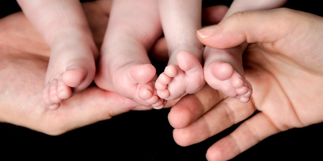 Little Baby Twins Feet in parents hands. Parenthood, family, twins, children and love concept.