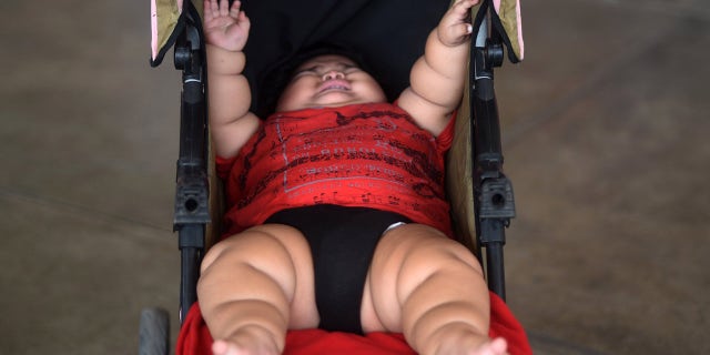 Luis Gonzales weighs as much as a 9-year-old child at just 10 months old. His parents fear they will not be able to afford proper treatment to help him.