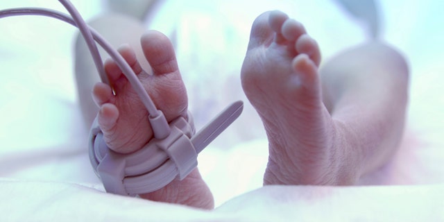 Feet of new born baby under ultraviolet lamp in the incubator
