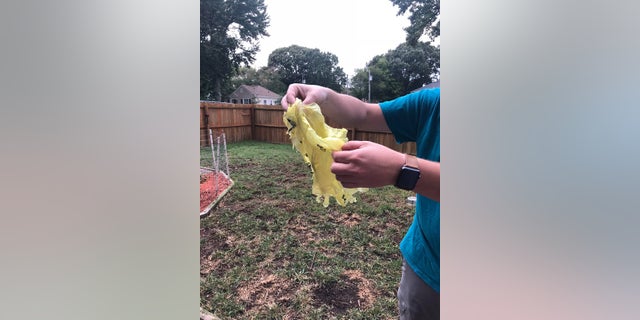 Part of the plastic bag from which the dog escaped.