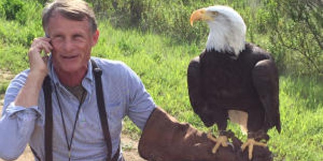 Photo shows Sequoia bald eagle and Palo Alto Junior Museum and Zoo director John Aikin. (Palo Alto Junior Museum & Zoo)