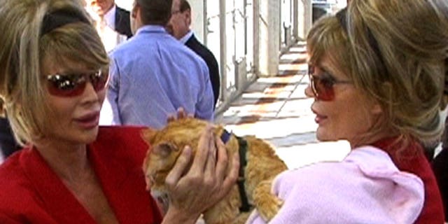 The Barbi Twins pose with a kitty.