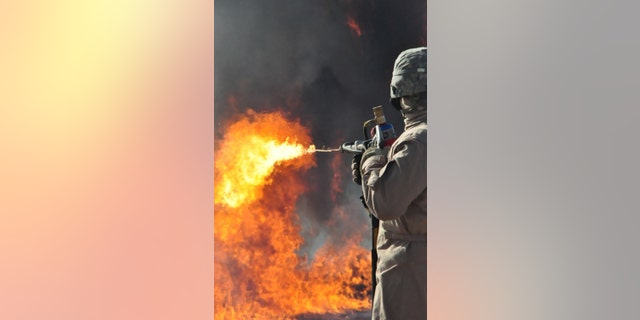 (Credit: US Army)