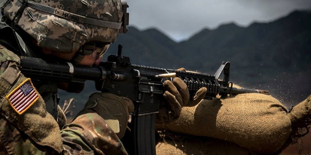 File photo (U.S. Army)